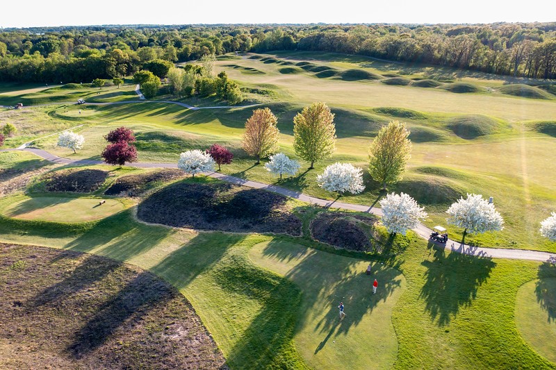 Trees on golf course and cart path