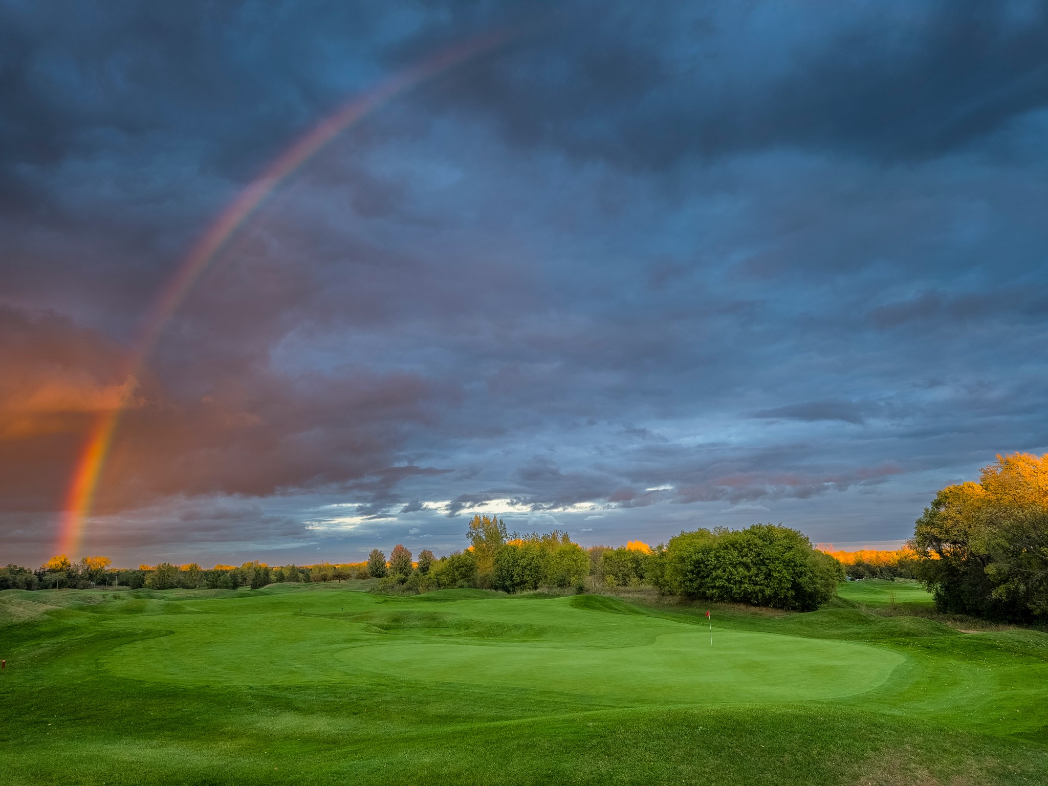 Image of golf ball on tee on grass.